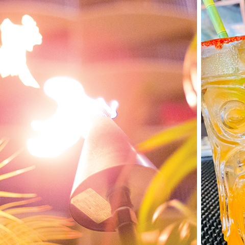 Beste/r/s Tequila-Cocktails in Waikiki