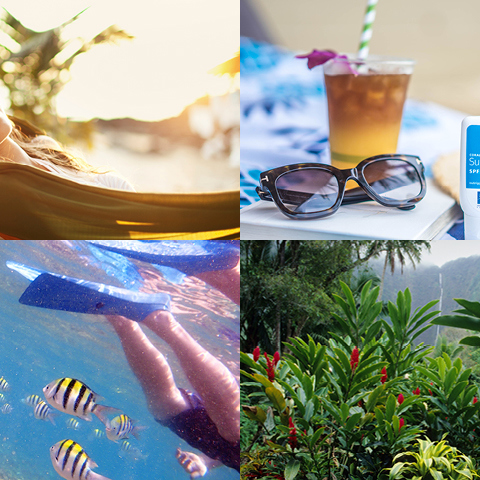 Hawaiianische Ferienwohnungen - Reisetipps