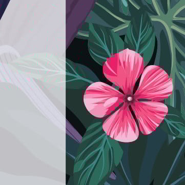 Holiday events in Waikiki 2017