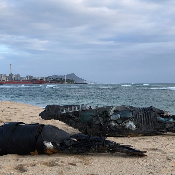 Jodi Endicott Mönch Siegel Kunstwerk