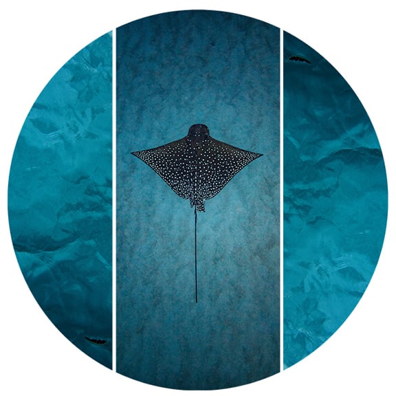 Terrace of Modern Art July 2024