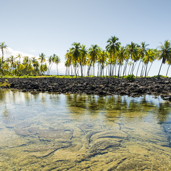 Puuhonua o Honanau National Historic Park