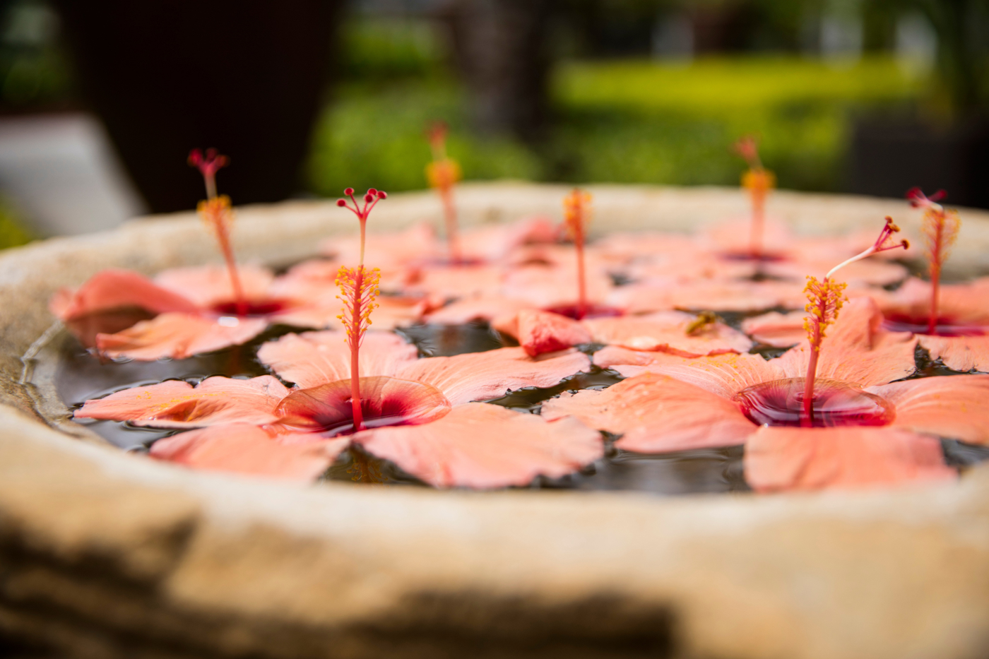 Navasana Spa Blumen