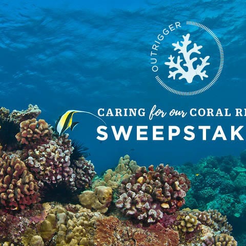 Wir kümmern uns um unser Korallen-Gewinnspiel - OZONE - Outrigger Hotels & Resorts