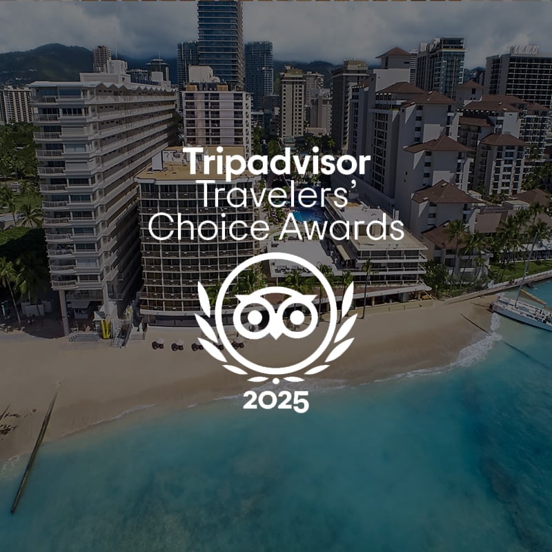 Tripadvisor Travelers' Choice Award